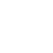 Media Excellence Award